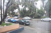 Enlarge photo 39