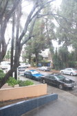 Enlarge photo 40
