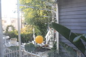 Enlarge photo 27