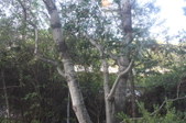 Enlarge photo 25