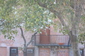 Enlarge photo 44