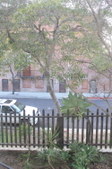 Enlarge photo 45
