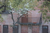 Enlarge photo 53