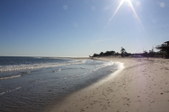 Enlarge photo 41