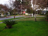 Enlarge photo 11