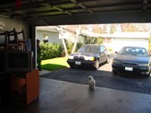 Enlarge photo 17