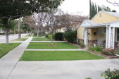 Enlarge photo 33