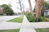 Enlarge photo 55