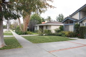 Enlarge photo 59