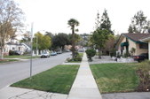 Enlarge photo 42