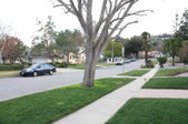 Enlarge photo 51