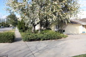 Enlarge photo 25