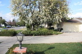 Enlarge photo 27