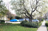 Enlarge photo 30