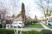 Enlarge photo 38