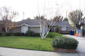 Enlarge photo 39