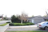 Enlarge photo 44