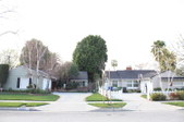 Enlarge photo 47