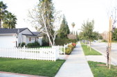 Enlarge photo 53