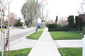 Enlarge photo 62