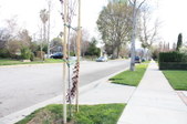 Enlarge photo 63
