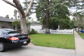 Enlarge photo 46