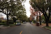 Enlarge photo 49