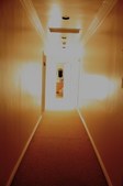Enlarge photo 46