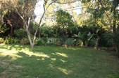 Enlarge photo 93