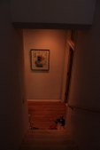 Enlarge photo 42