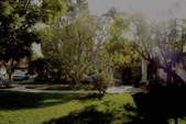 Enlarge photo 93