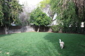 Enlarge photo 108