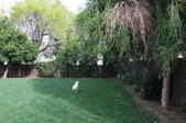 Enlarge photo 109
