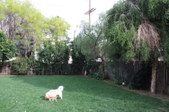 Enlarge photo 110
