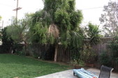 Enlarge photo 111