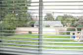 Enlarge photo 50