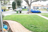Enlarge photo 62