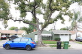 Enlarge photo 74