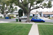Enlarge photo 82