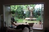 Enlarge photo 51