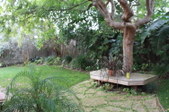 Enlarge photo 53