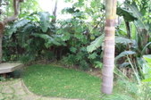Enlarge photo 54
