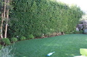 Enlarge photo 30