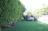 Enlarge photo 31
