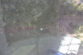 Enlarge photo 110