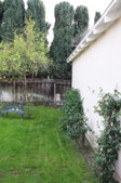 Enlarge photo 45
