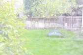 Enlarge photo 87