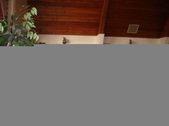 Enlarge photo 51