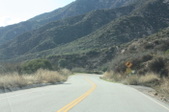 Enlarge photo 34
