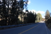 Enlarge photo 39